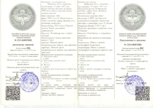 Майрамбеков Илгиз Аманбекович